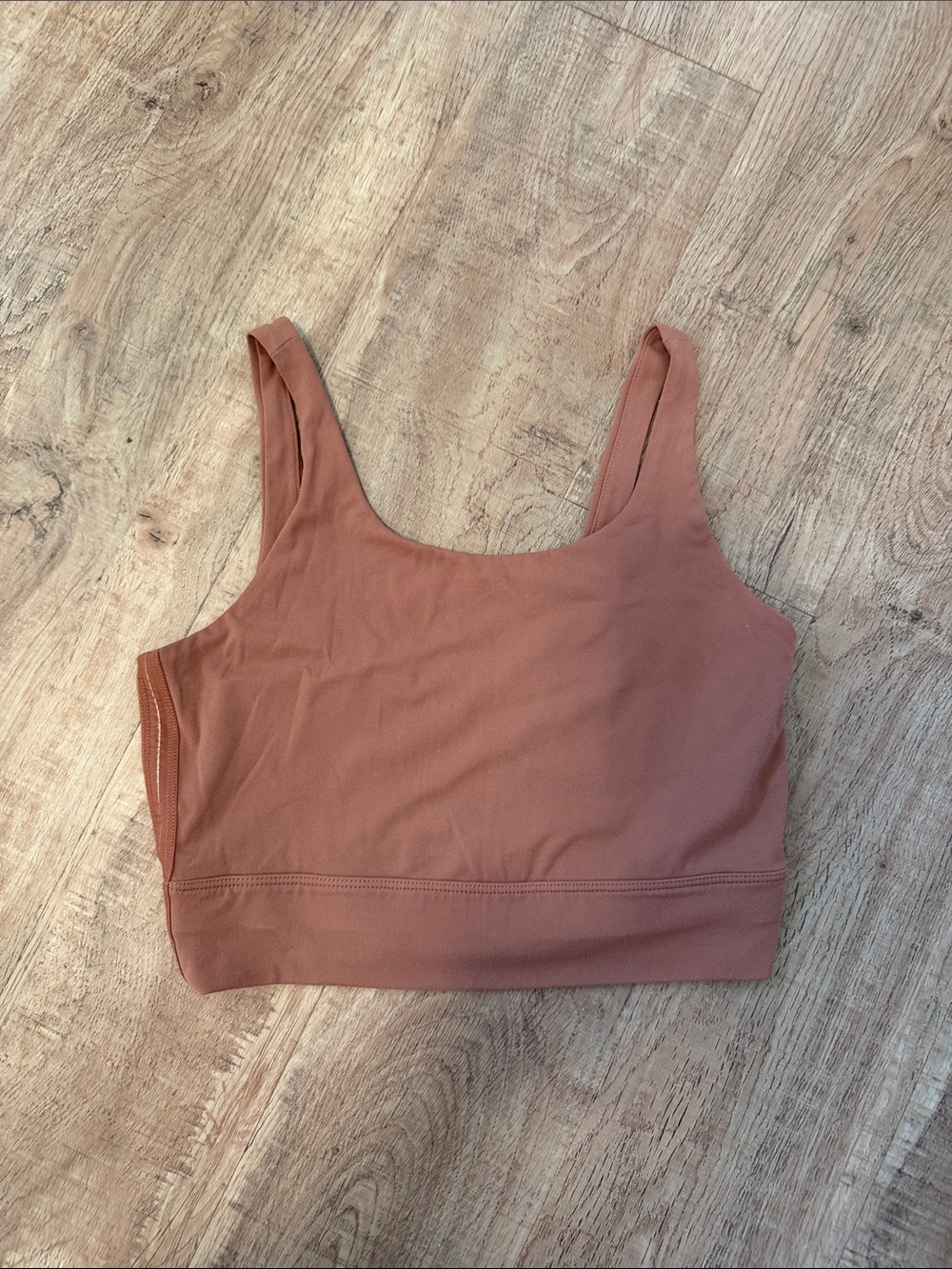 Nike Rust Brown Sports Bra/ Crop Top